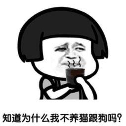 搞笑陪人价格,揭秘搞笑陪人价格大揭秘！