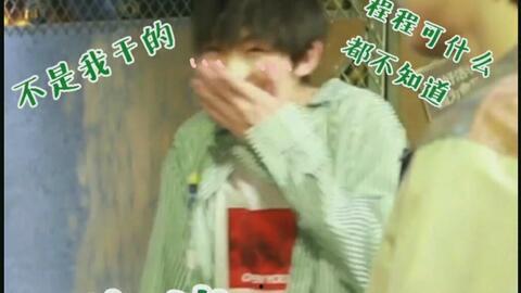 tf家族表情包,青春活力，笑点满满，带你领略二次元魅力